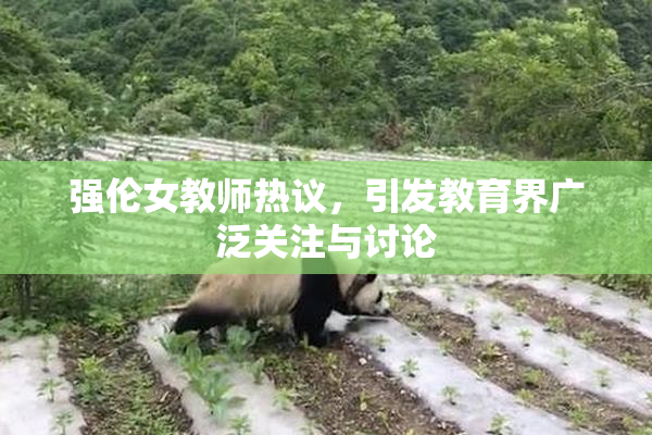 强伦女教师热议，引发教育界广泛关注与讨论