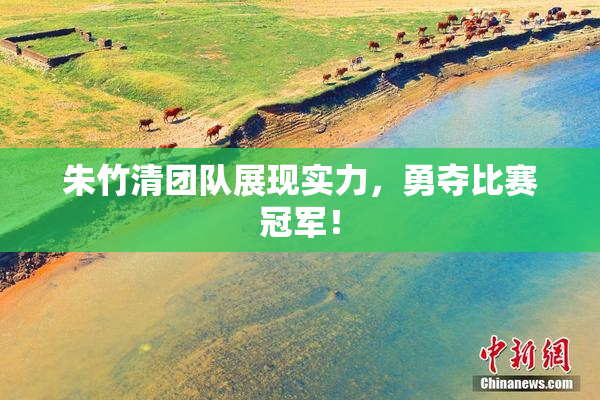 朱竹清团队展现实力，勇夺比赛冠军！