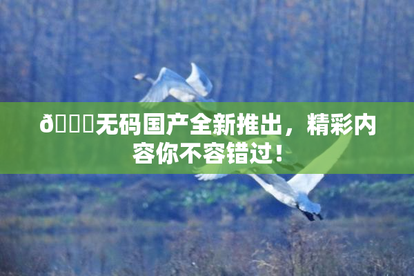 🔞无码国产全新推出，精彩内容你不容错过！