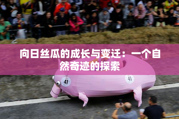 向日丝瓜的成长与变迁：一个自然奇迹的探索