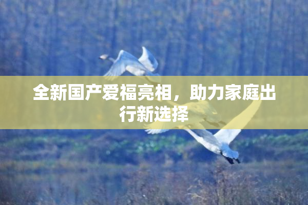 全新国产爱福亮相，助力家庭出行新选择