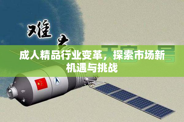 成人精品行业变革，探索市场新机遇与挑战