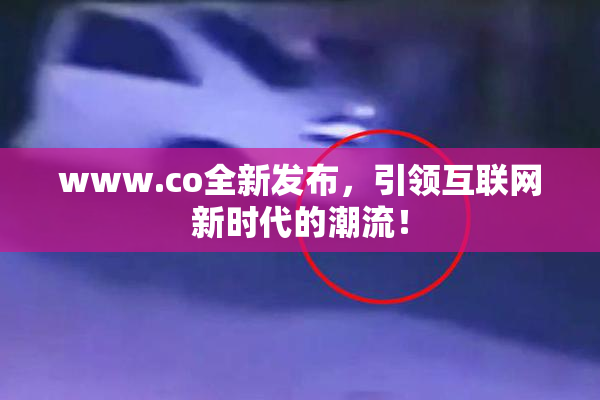 www.co全新发布，引领互联网新时代的潮流！