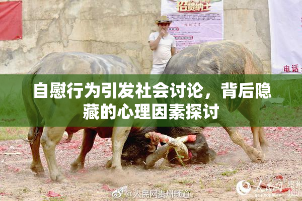 自慰行为引发社会讨论，背后隐藏的心理因素探讨