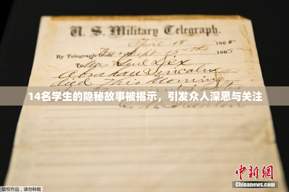 14名学生的隐秘故事被揭示，引发众人深思与关注