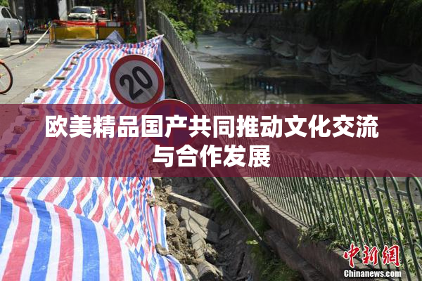 欧美精品国产共同推动文化交流与合作发展