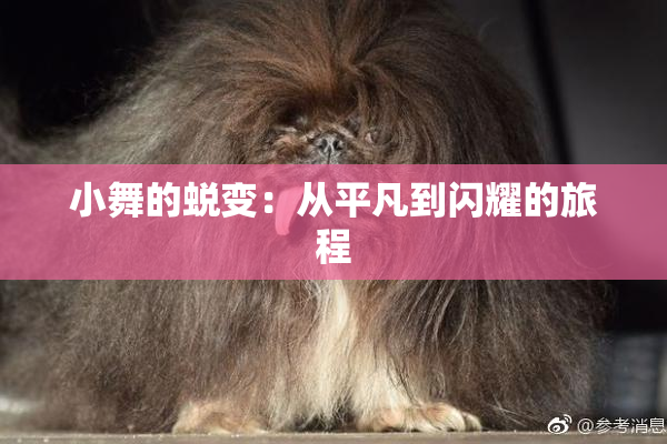 小舞的蜕变：从平凡到闪耀的旅程