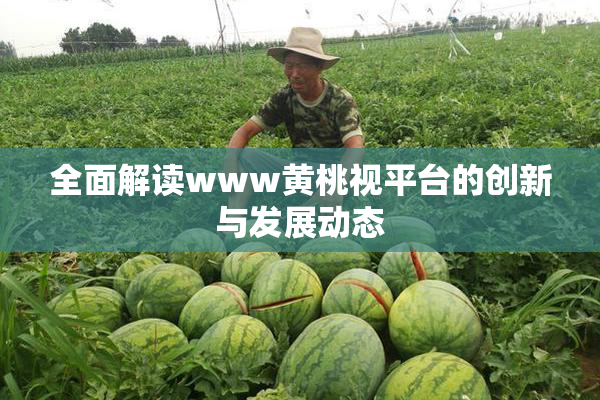 全面解读www黄桃视平台的创新与发展动态