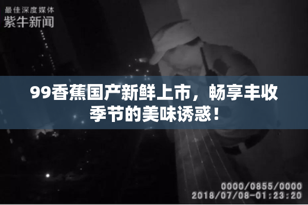 99香蕉国产新鲜上市，畅享丰收季节的美味诱惑！