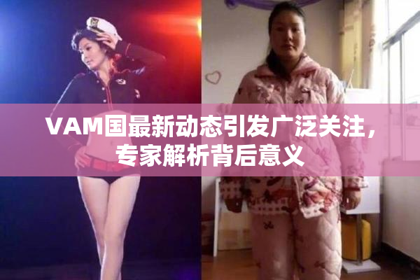VAM国最新动态引发广泛关注，专家解析背后意义