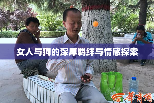 女人与狗的深厚羁绊与情感探索