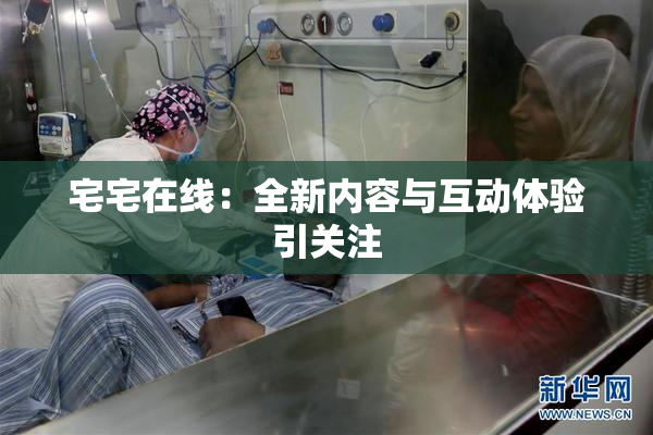 宅宅在线：全新内容与互动体验引关注