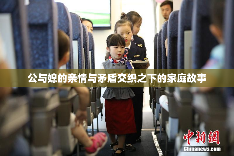 公与媳的亲情与矛盾交织之下的家庭故事