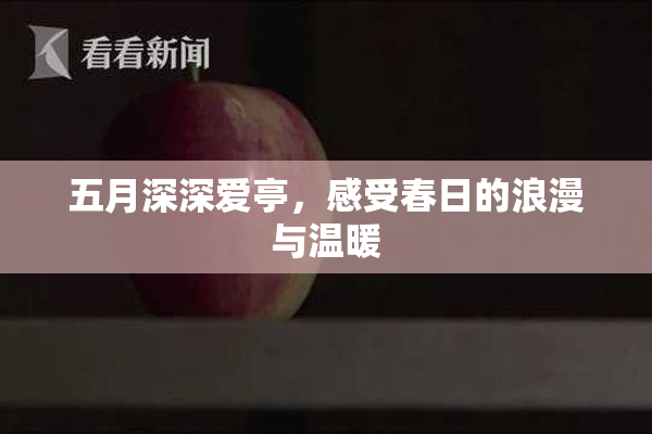 五月深深爱亭，感受春日的浪漫与温暖