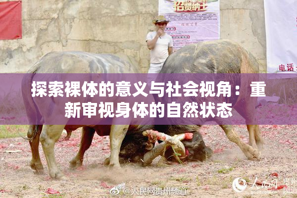 探索裸体的意义与社会视角：重新审视身体的自然状态