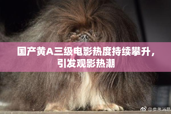 国产黄A三级电影热度持续攀升，引发观影热潮