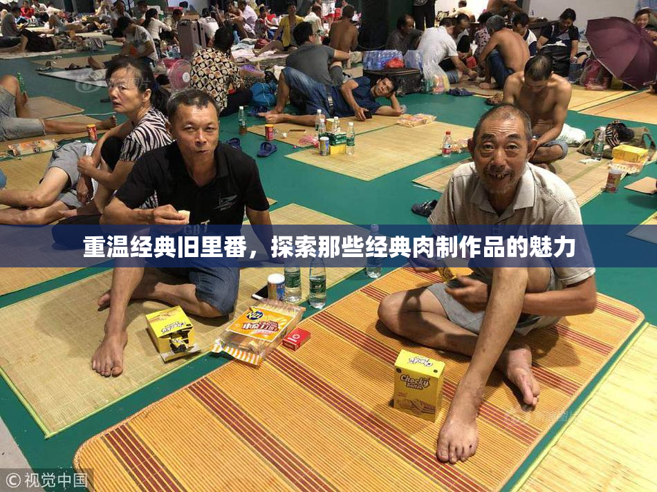 重温经典旧里番，探索那些经典肉制作品的魅力
