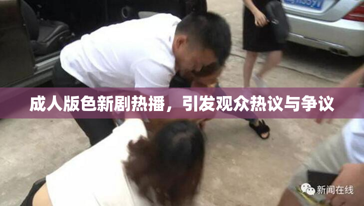 成人版色新剧热播，引发观众热议与争议