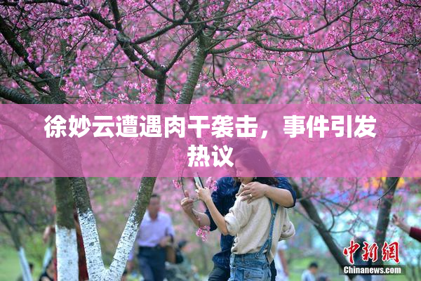 徐妙云遭遇肉干袭击，事件引发热议