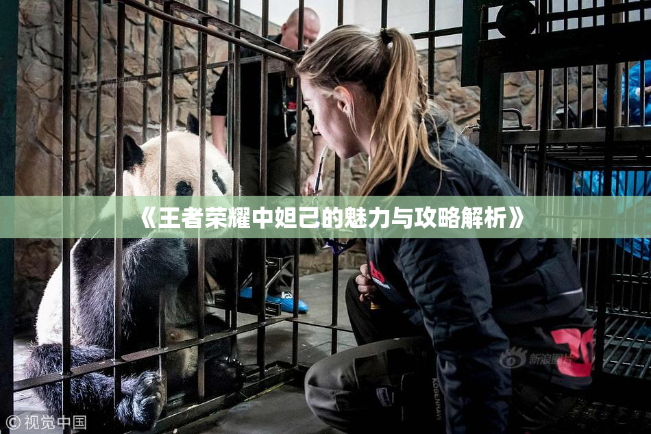 《王者荣耀中妲己的魅力与攻略解析》