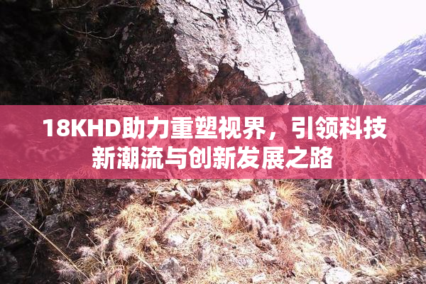 18KHD助力重塑视界，引领科技新潮流与创新发展之路