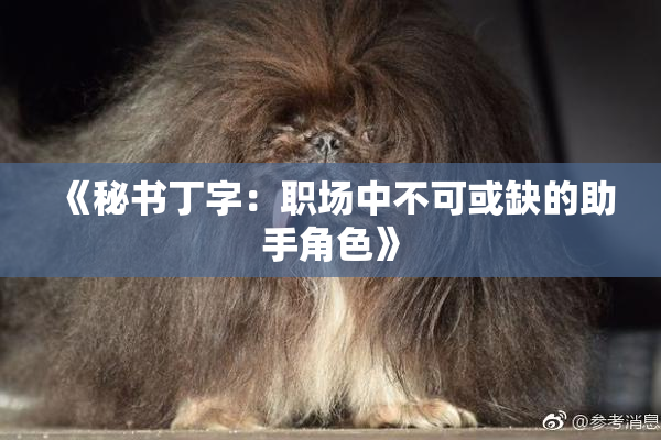 《秘书丁字：职场中不可或缺的助手角色》
