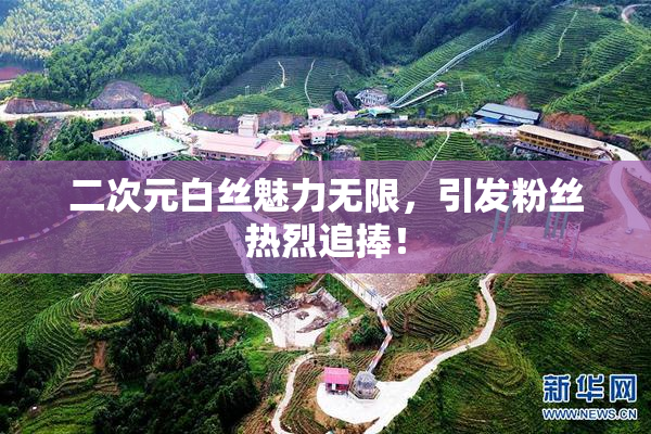 二次元白丝魅力无限，引发粉丝热烈追捧！