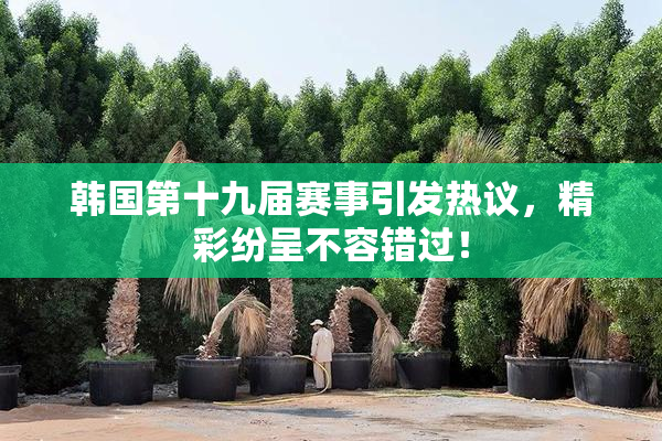 韩国第十九届赛事引发热议，精彩纷呈不容错过！