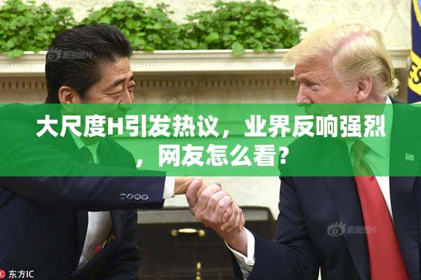大尺度H引发热议，业界反响强烈，网友怎么看？