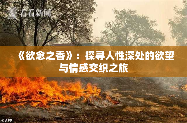 《欲念之香》：探寻人性深处的欲望与情感交织之旅