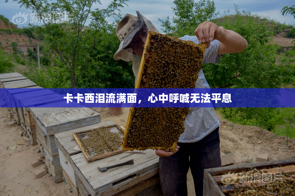 卡卡西泪流满面，心中呼喊无法平息