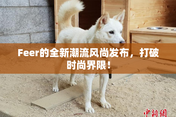 Feer的全新潮流风尚发布，打破时尚界限！