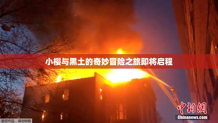 小樱与黑土的奇妙冒险之旅即将启程