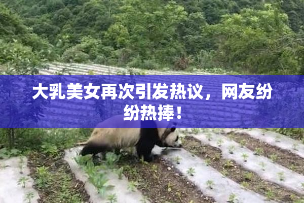 大乳美女再次引发热议，网友纷纷热捧！