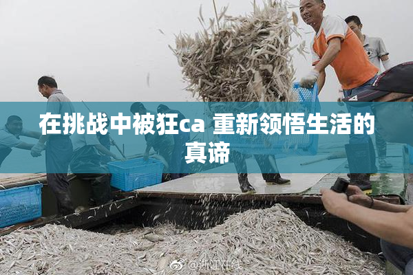 在挑战中被狂ca 重新领悟生活的真谛