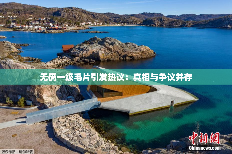 无码一级毛片引发热议：真相与争议并存