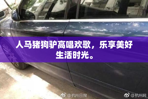 人马猪狗驴高唱欢歌，乐享美好生活时光。