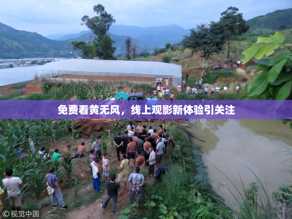免费看黄无风，线上观影新体验引关注