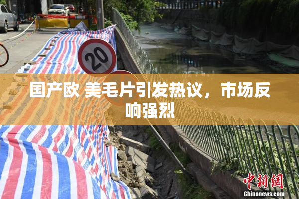 国产欧 美毛片引发热议，市场反响强烈