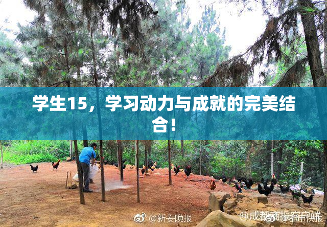 学生15，学习动力与成就的完美结合！