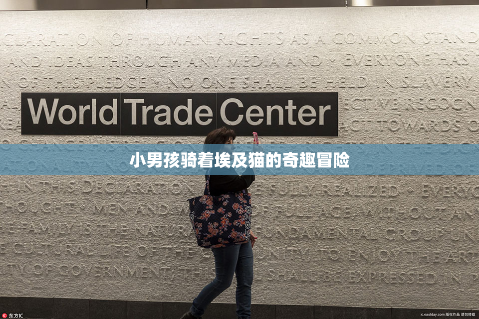 小男孩骑着埃及猫的奇趣冒险