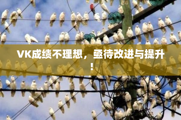 VK成绩不理想，亟待改进与提升！