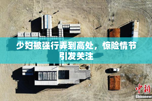 少妇被强行弄到高处，惊险情节引发关注