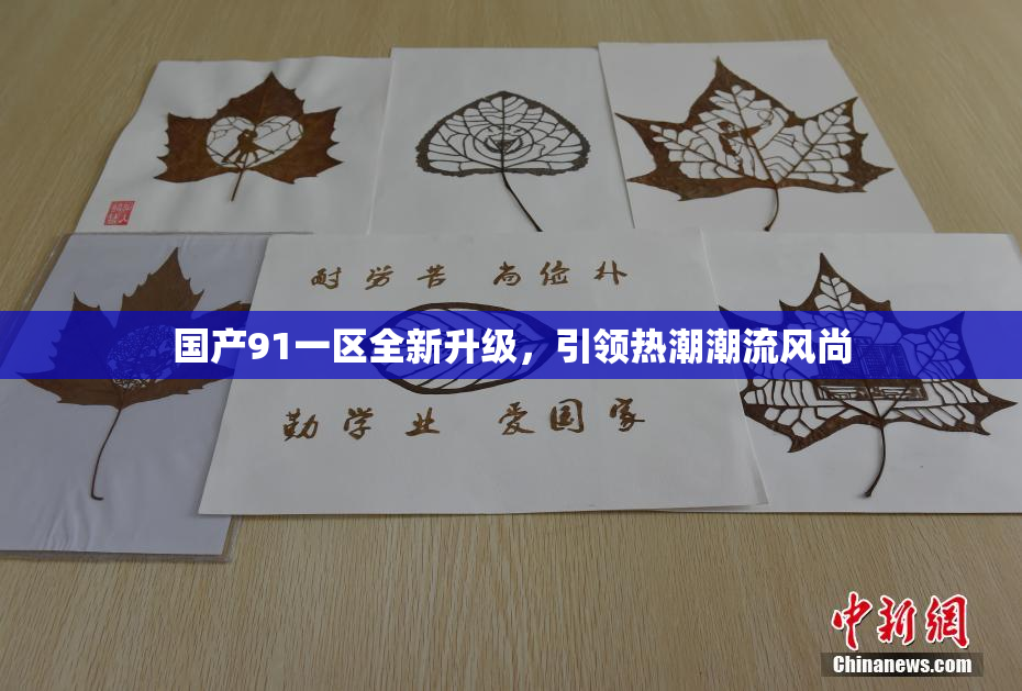 国产91一区全新升级，引领热潮潮流风尚