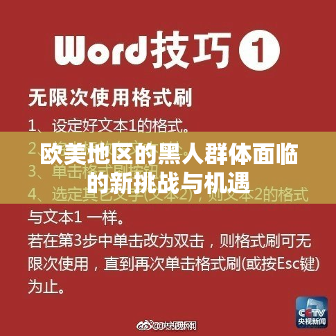 欧美地区的黑人群体面临的新挑战与机遇