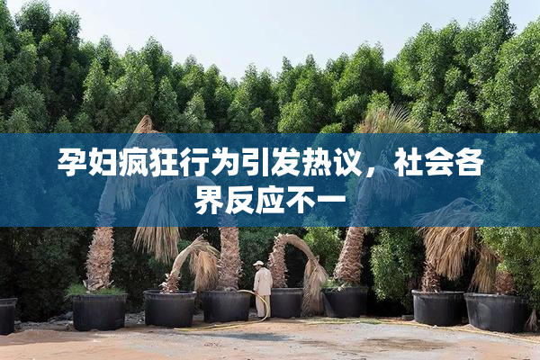 孕妇疯狂行为引发热议，社会各界反应不一
