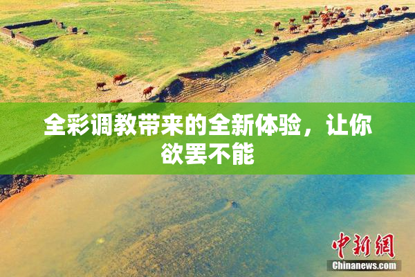 全彩调教带来的全新体验，让你欲罢不能
