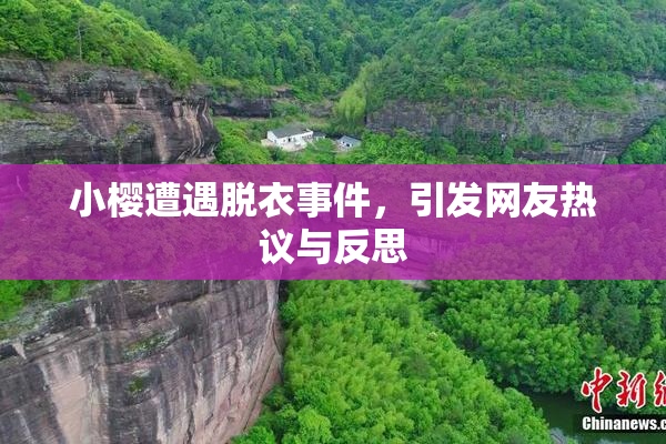 小樱遭遇脱衣事件，引发网友热议与反思