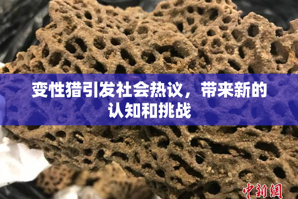 变性猎引发社会热议，带来新的认知和挑战
