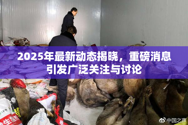 2025年最新动态揭晓，重磅消息引发广泛关注与讨论